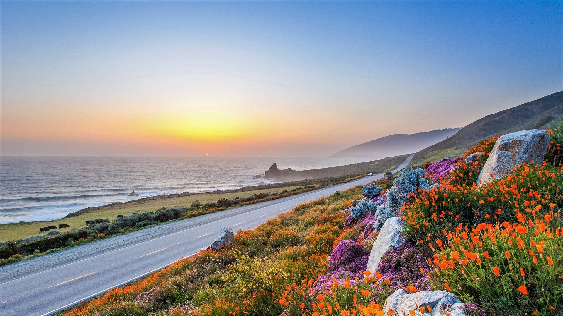 Title Road In Big Sur, California Man Made Sur In The Spring HD Wallpaper