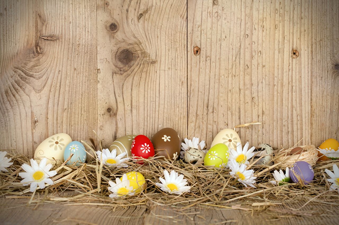 Image Easter Eggs matricaria Straw Holidays Wood planks