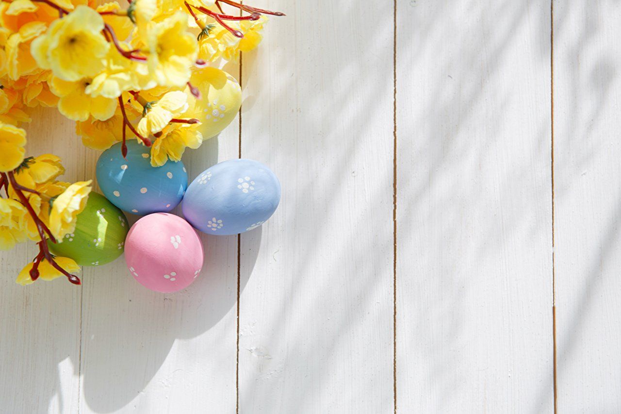 Free download Wallpaper Easter egg Branches greeting card Holidays Wood [1280x853] for your Desktop, Mobile & Tablet. Explore Wallpaper Easter. Easter Wallpaper Background, Happy Easter Wallpaper, Cute Easter Wallpaper