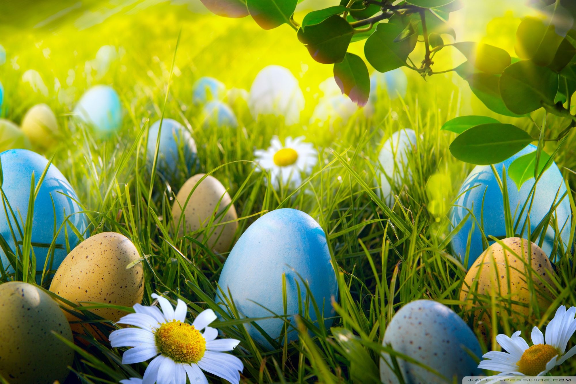 Easter Magic Wallpapers - Wallpaper Cave