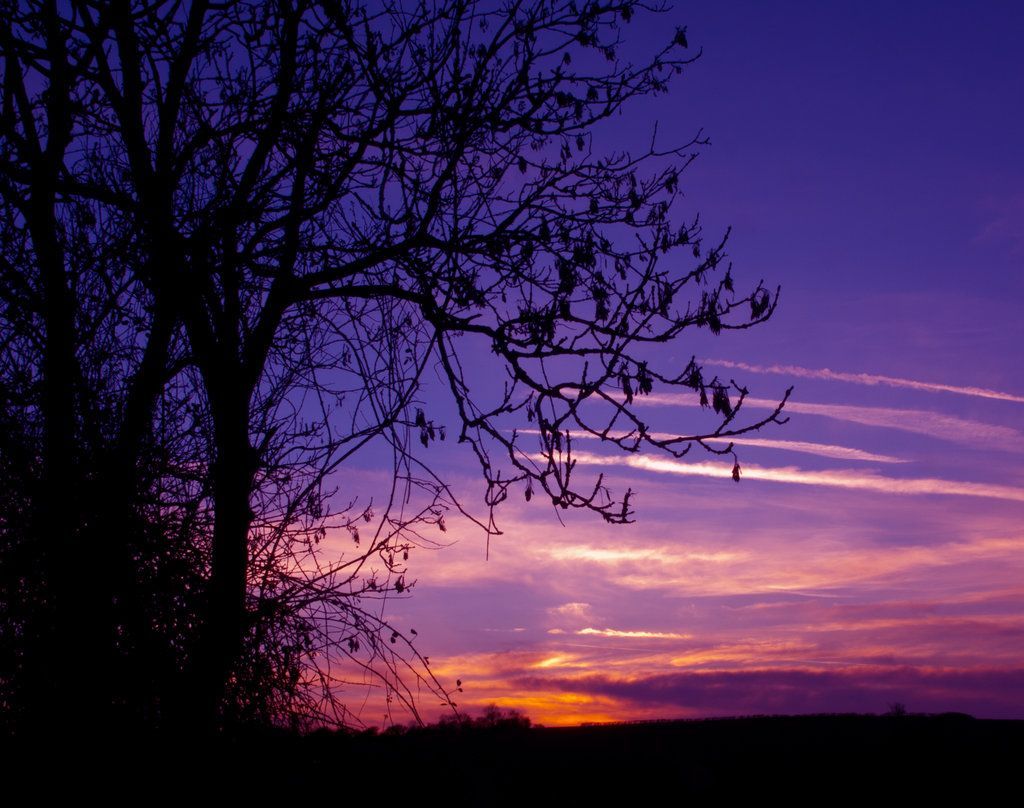 Spring Sunset Wallpaper