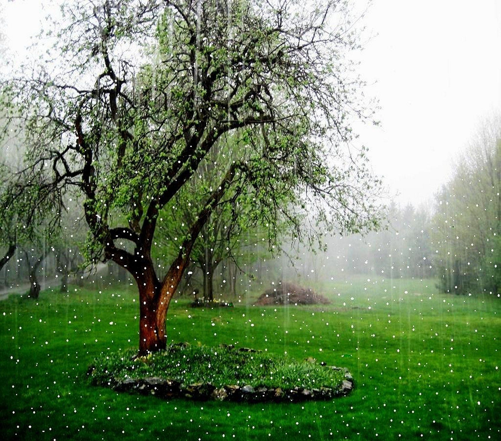 Rainy Spring Day Wallpapers Wallpaper Cave