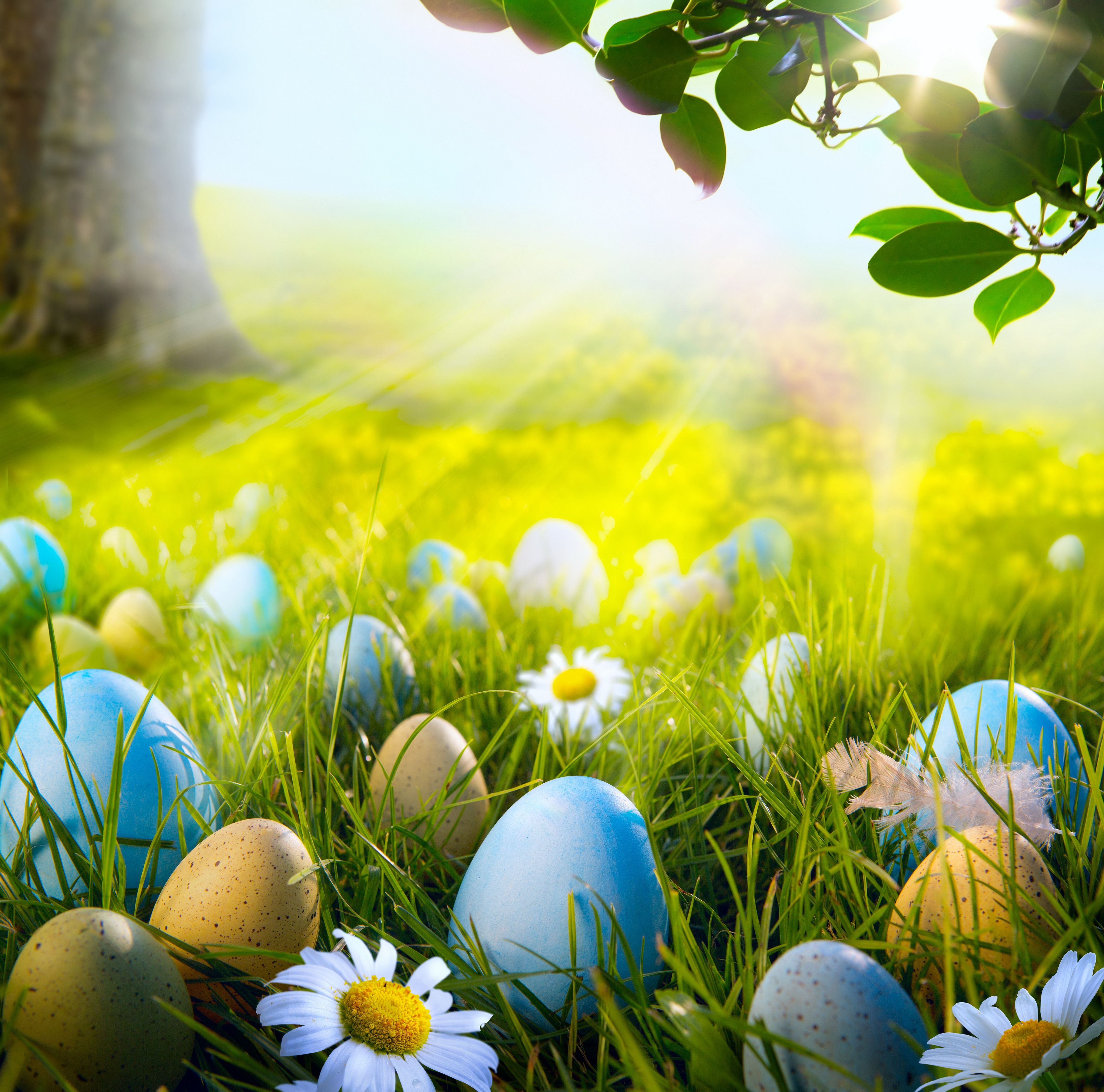 Easter Scenes Background
