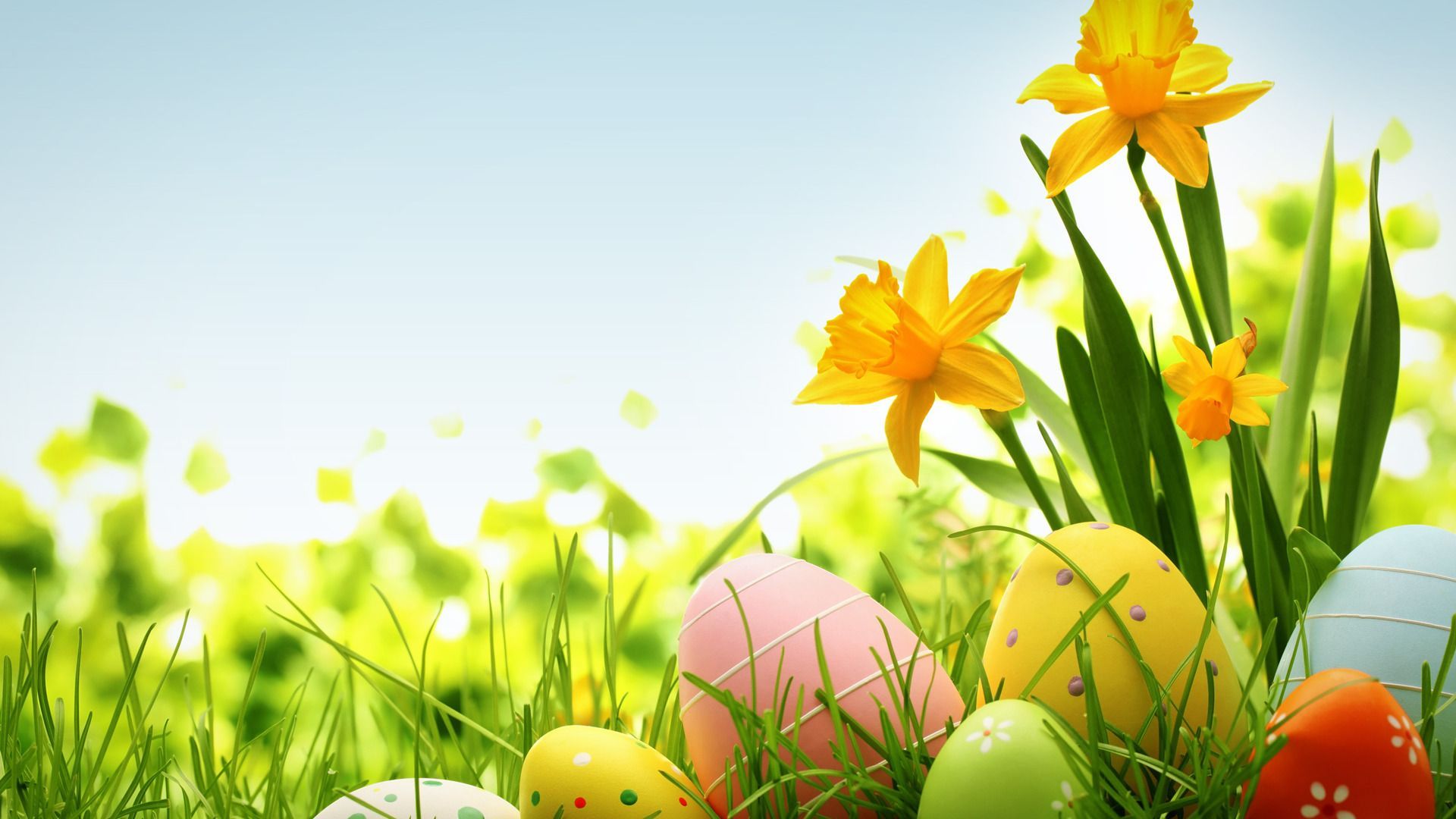 colorful easter eggs wallpaper HD. Easter wallpaper, Easter photography, Happy easter wallpaper