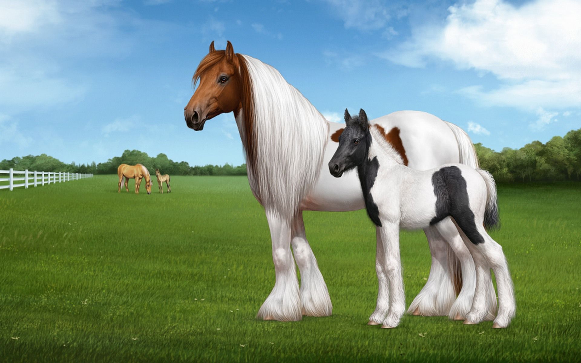 Free HD Horse Background Desktop
