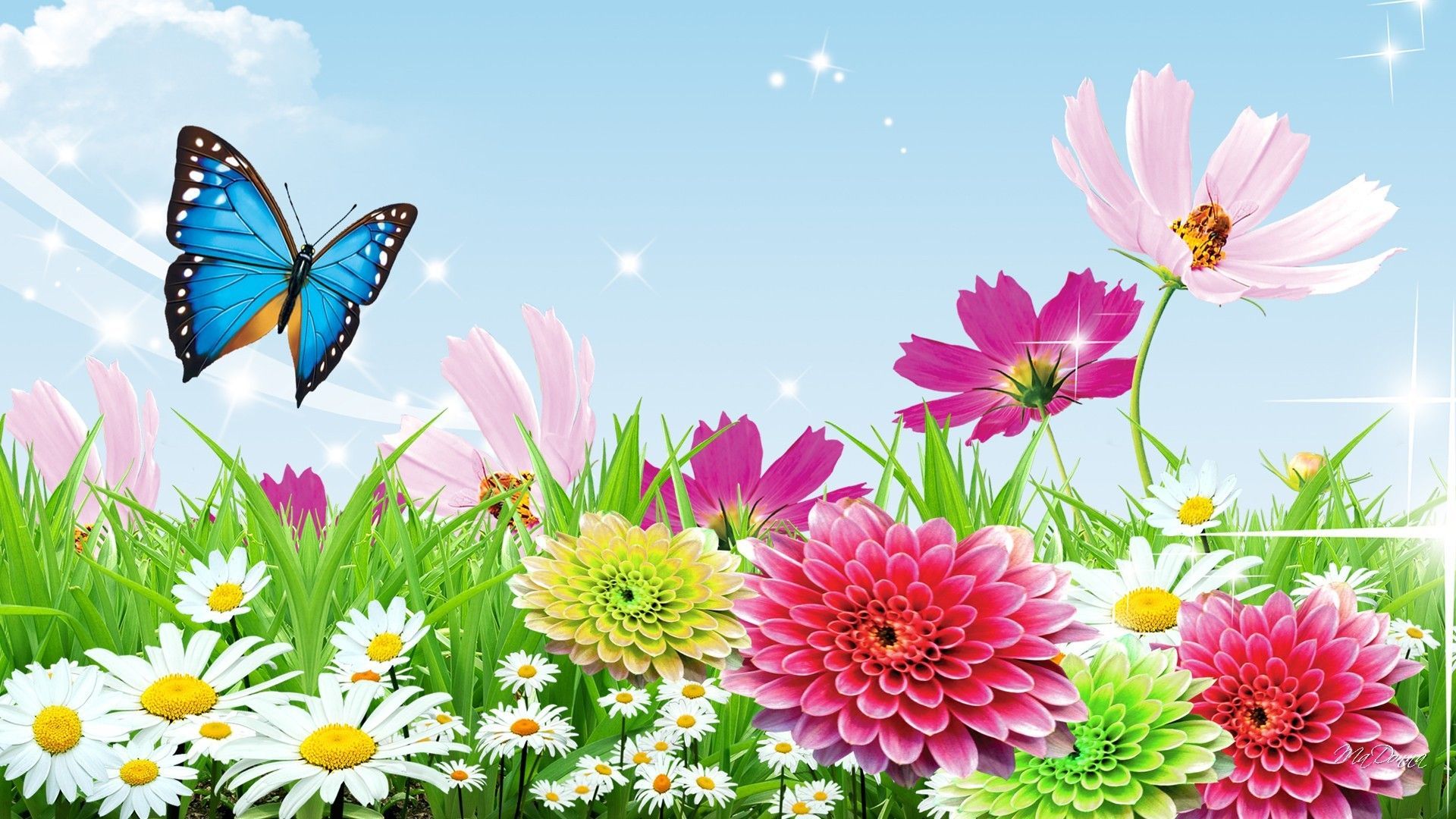 Spring Butterfly Wallpaper Widescreen Click Wallpaper. Butterfly wallpaper, Spring wallpaper, Flower wallpaper