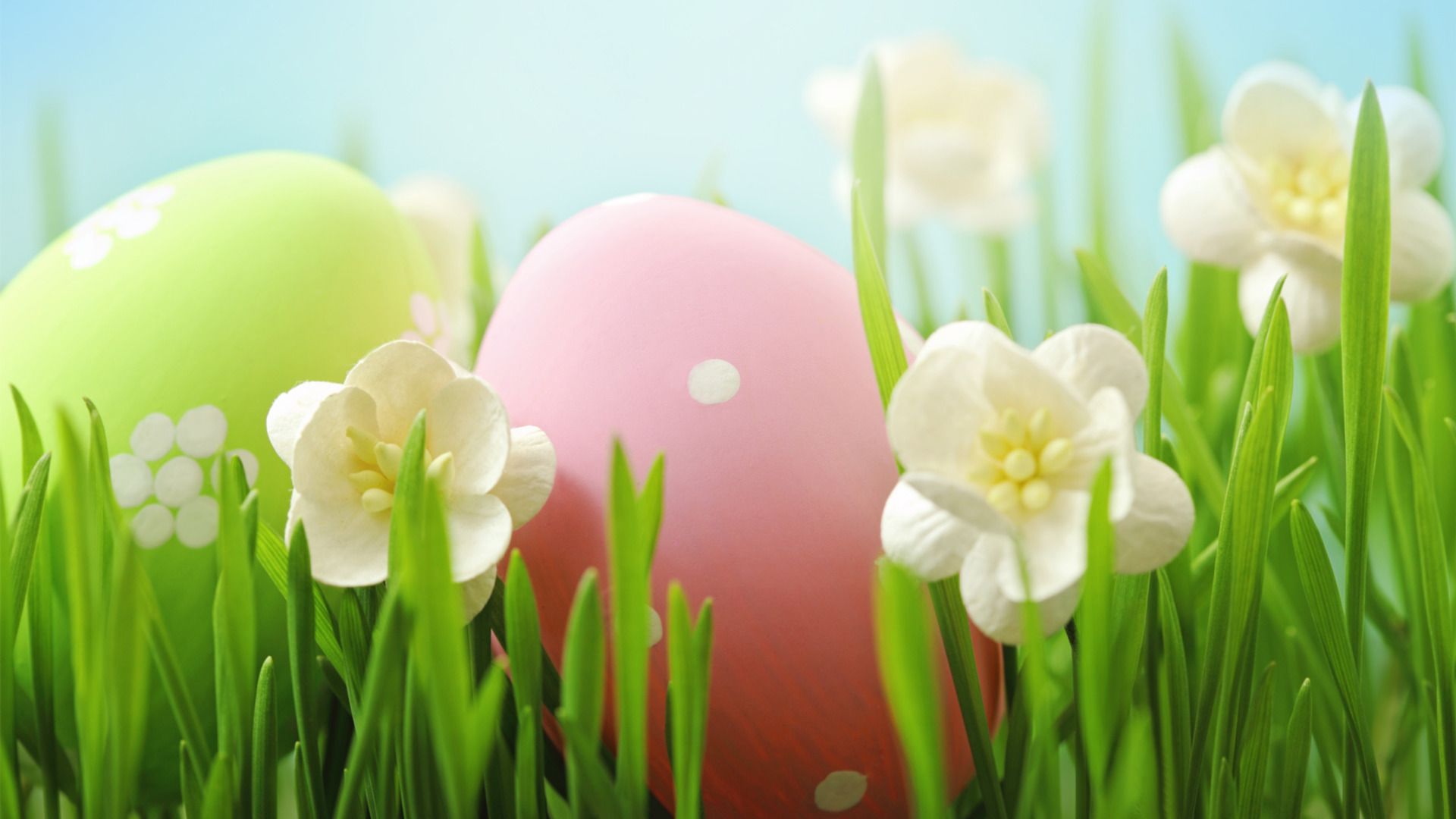 Easter 1920x1080, High Definition, High Quality, Widescreen