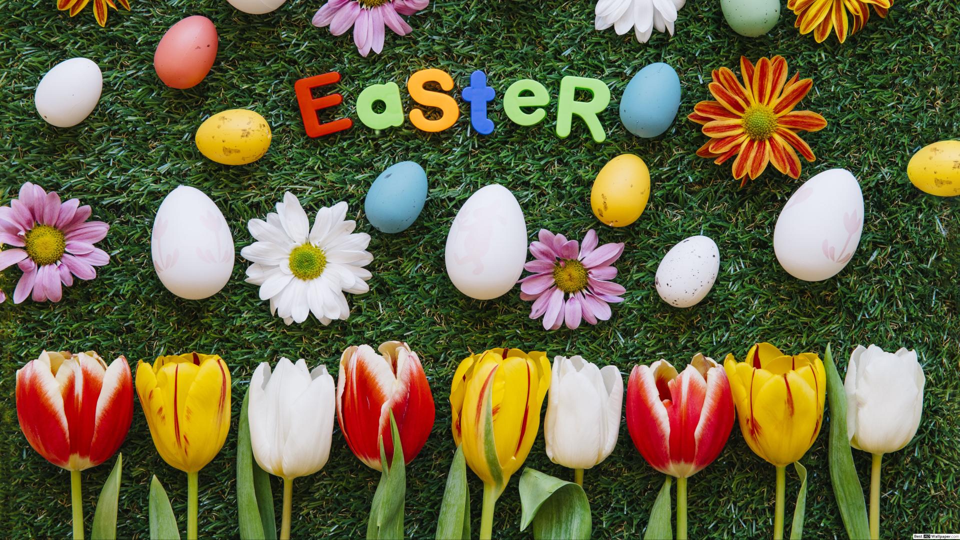 Easter wallpaper with multicolored Easter eggs and flowers HD wallpaper download
