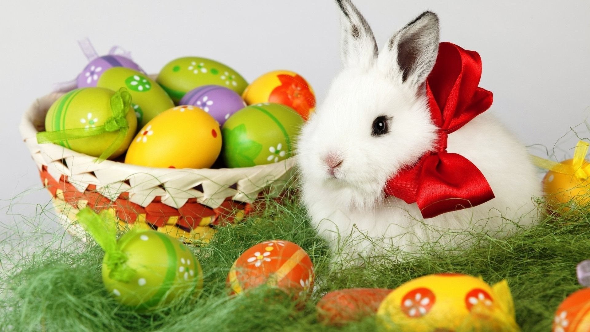 Easter, Egg, Rabbit HD Wallpaper & Background • 10614 • Wallur