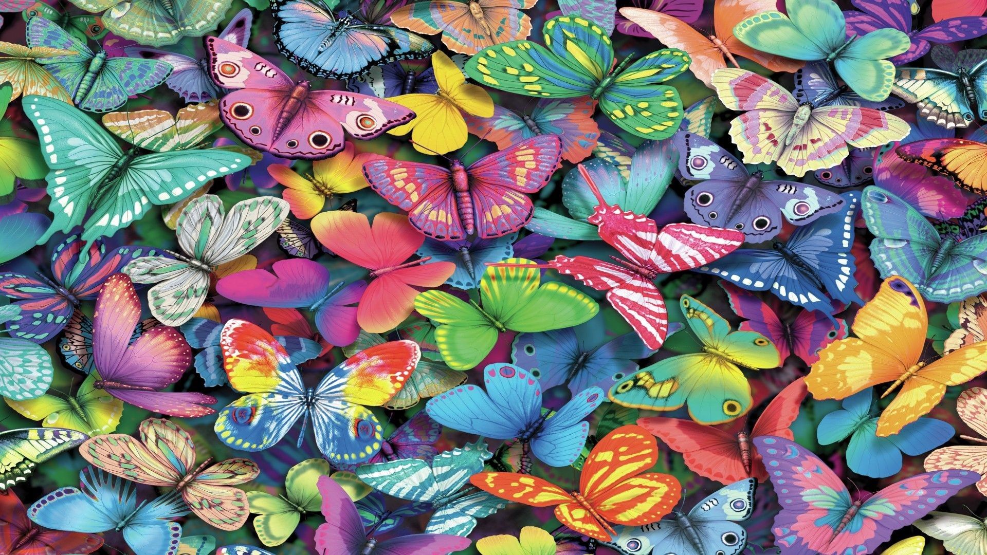 Hd Butterfly Desktop Background Src Cool Butterfly Puzzles HD Wallpaper