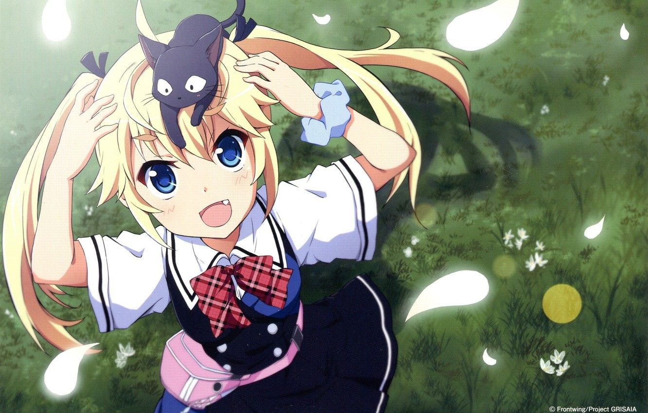 Wallpaper summer, grass, joy, handbag, schoolgirl, bow, art, grisa of no kajitsu, two tails, black kitten, michiru matsushima, ragho no erika image for desktop, section сёнэн