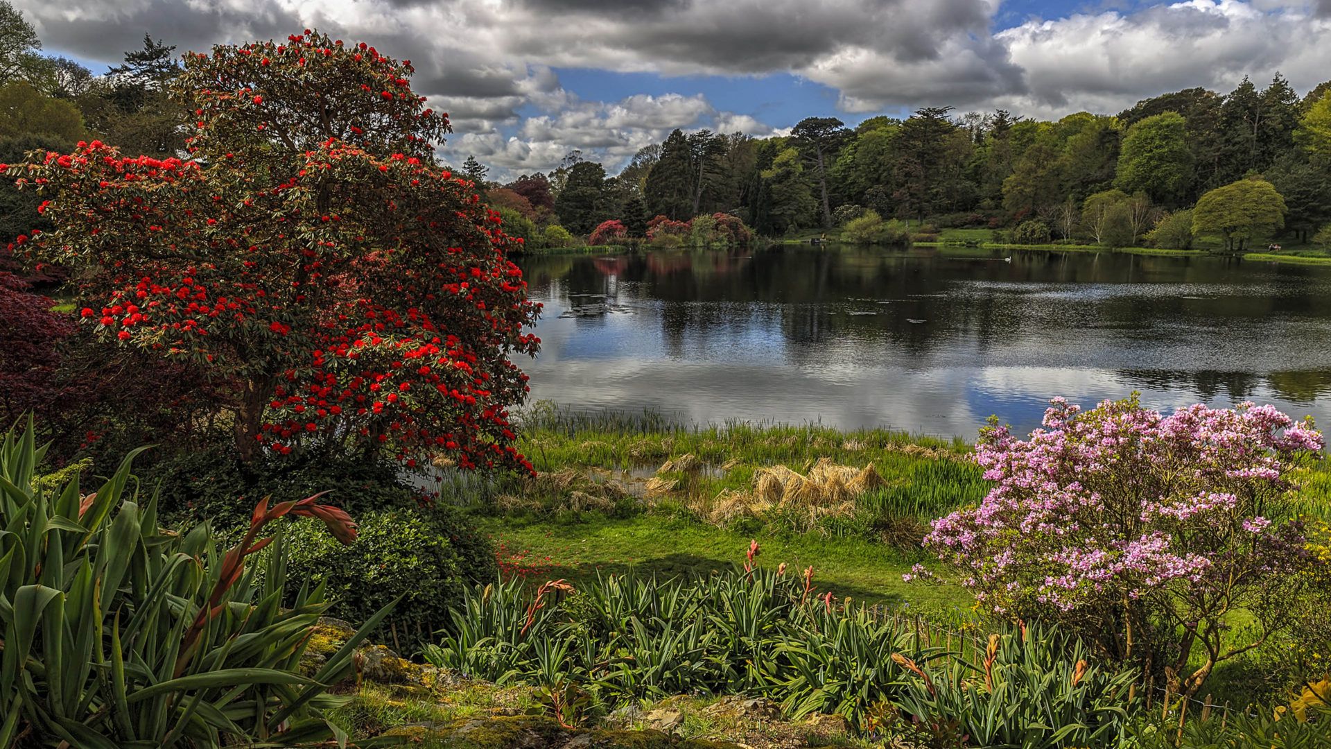 Spring At Mount Stewart Lake In County Down Northern Ireland Desktop HD Wallpaper For Pc Tablet And Mobile Download, Wallpaper13.com