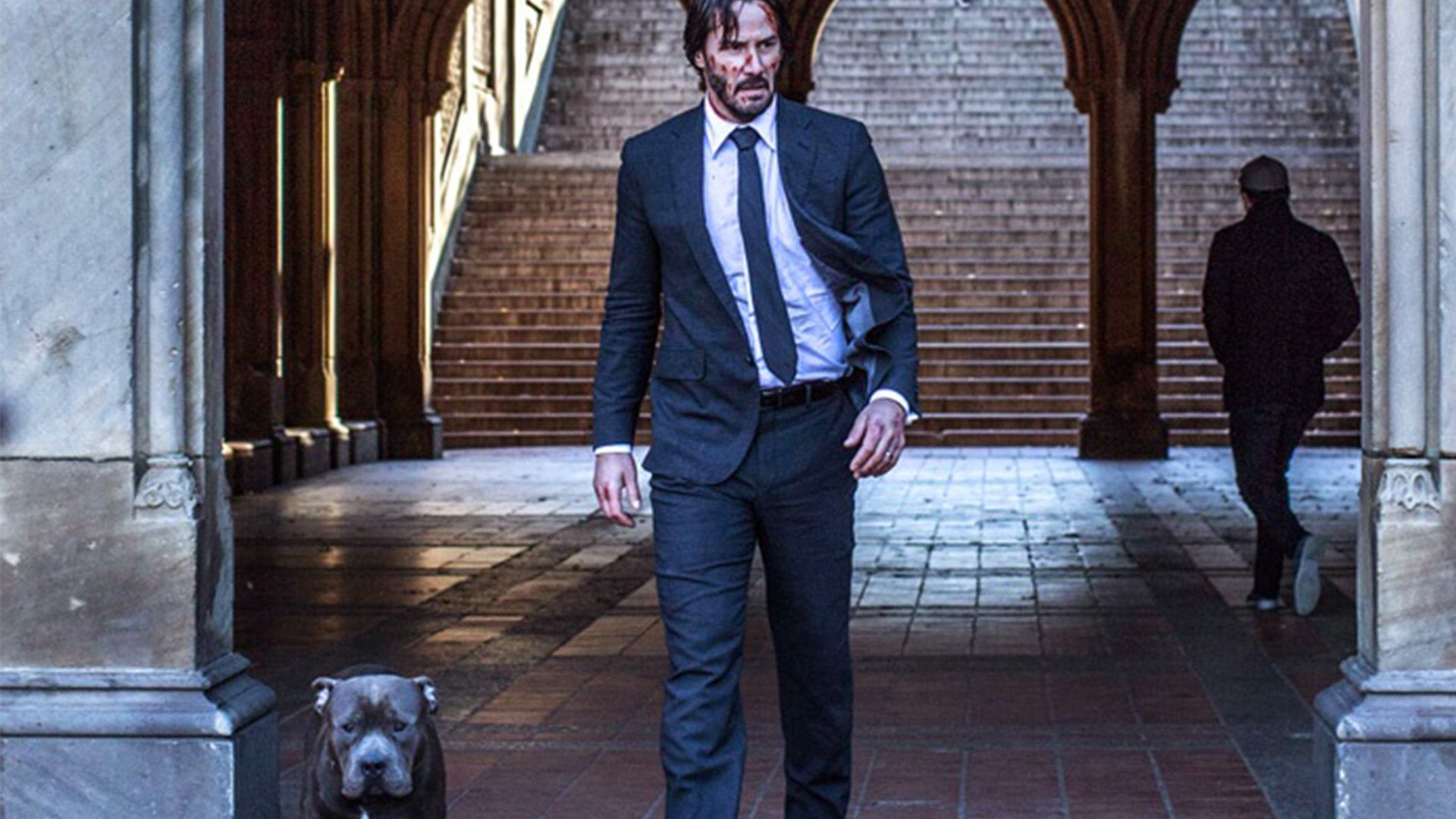 John Wick 3: John's Chapter 2 Dog Interrupted Filming Fighting A Horse