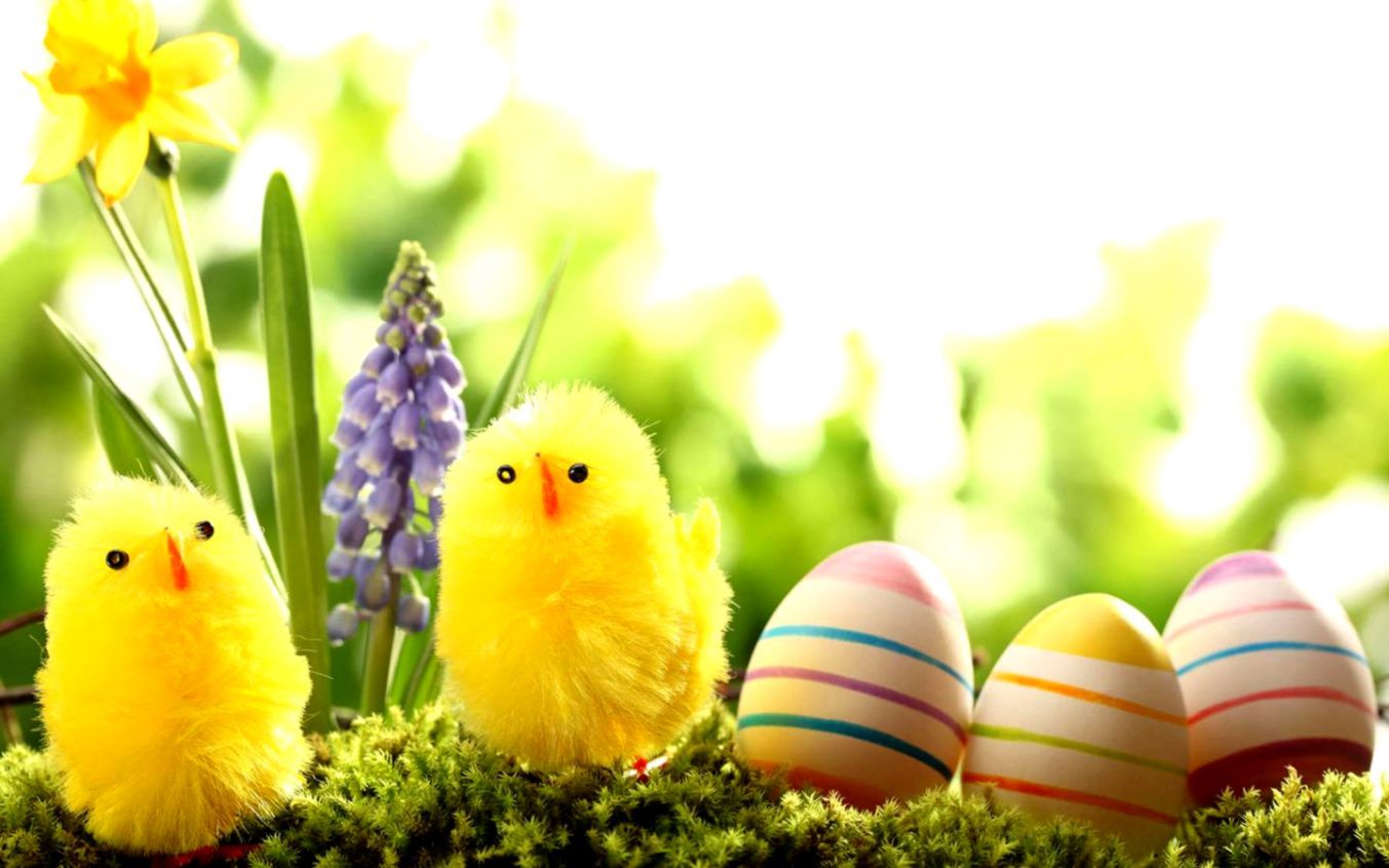 Best Easter Desktop Wallpaper Desktop Background