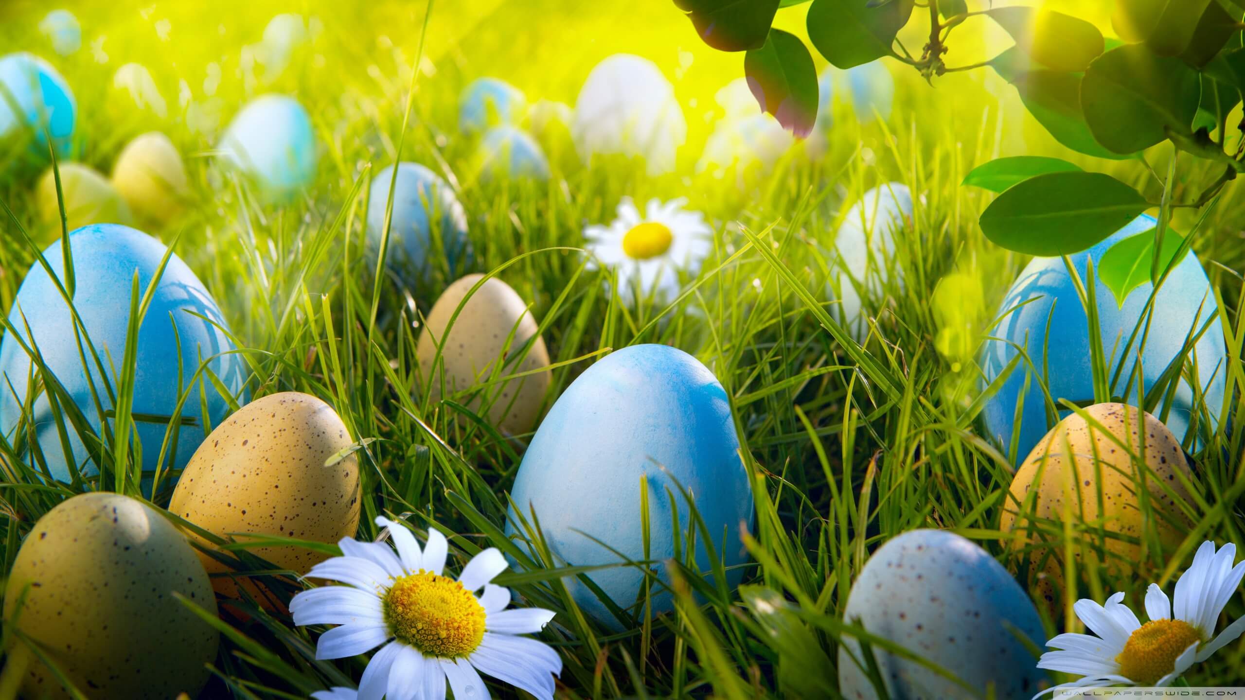 Easter Background