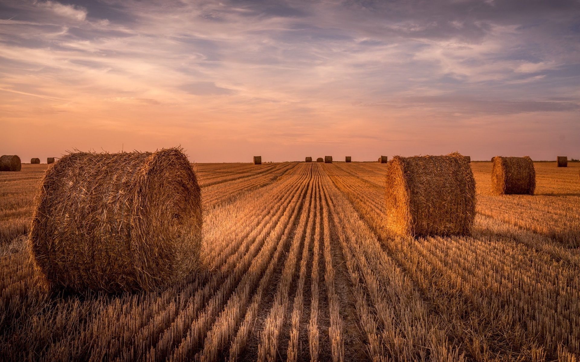 Wallpaper Wheat field, hay, summer, sunset 1920x1200 HD Picture, Image