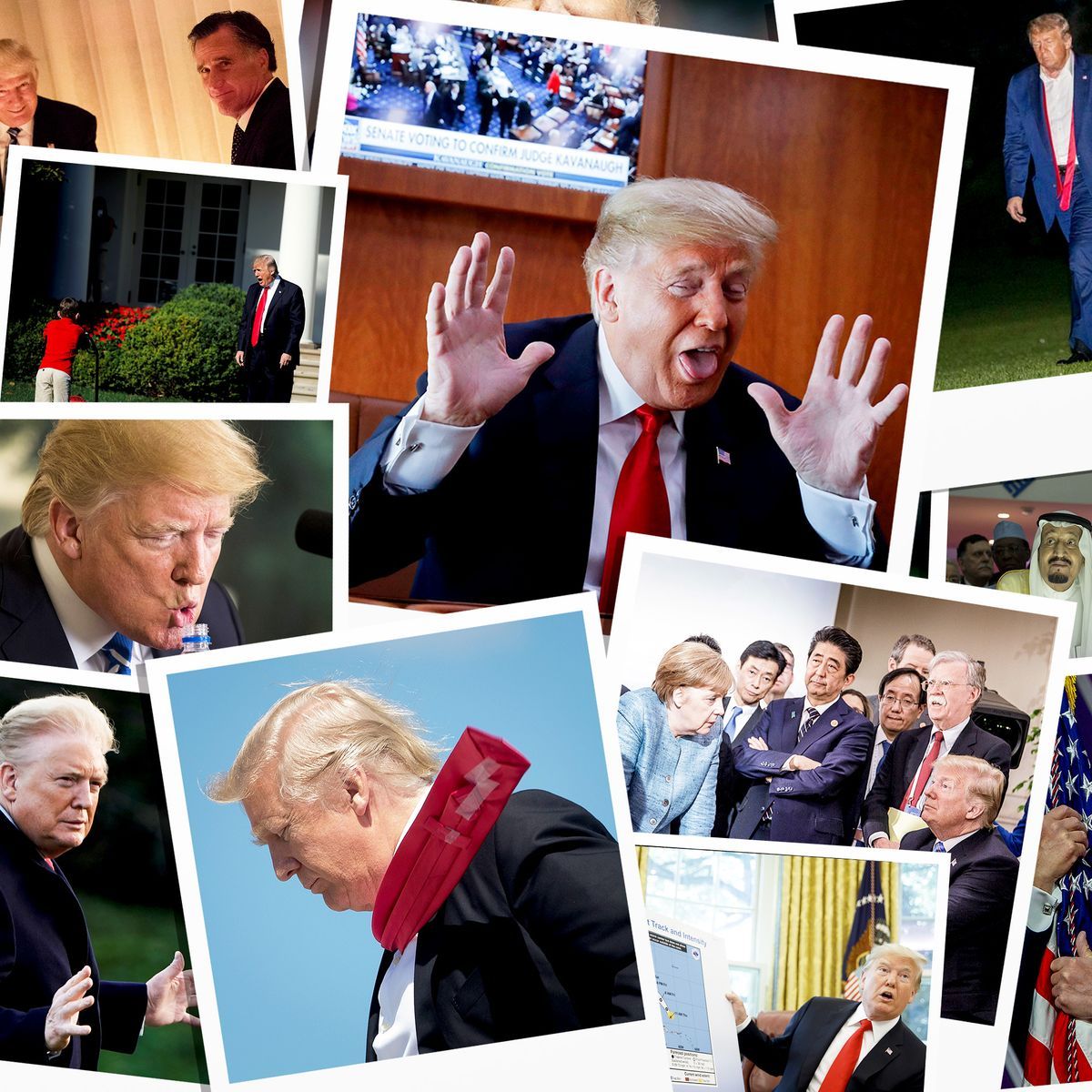 Trump Wallpapers on WallpaperDog
