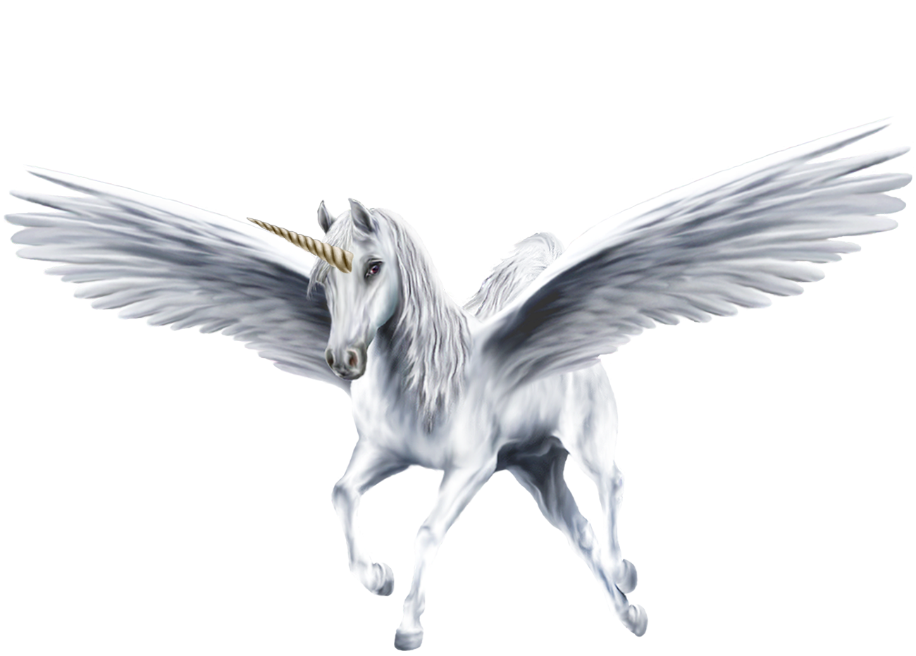 An Beautiful White Winged Unicorn Fan Art