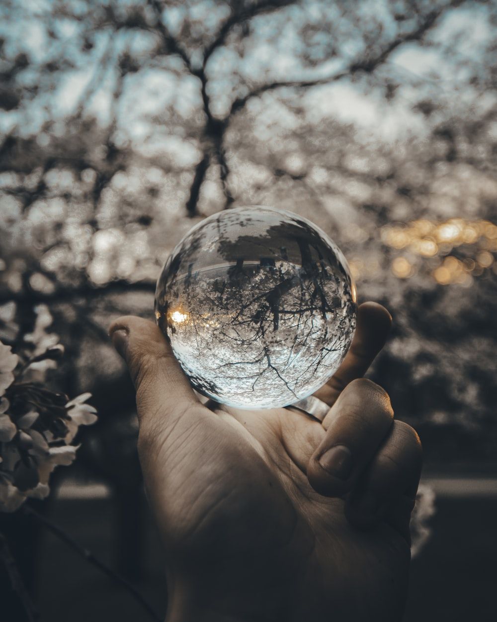 Crystal Ball Picture [HD]. Download Free Image