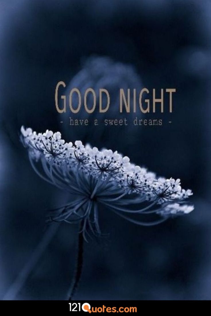 Beautiful Good Night Image [ Best Collection ]