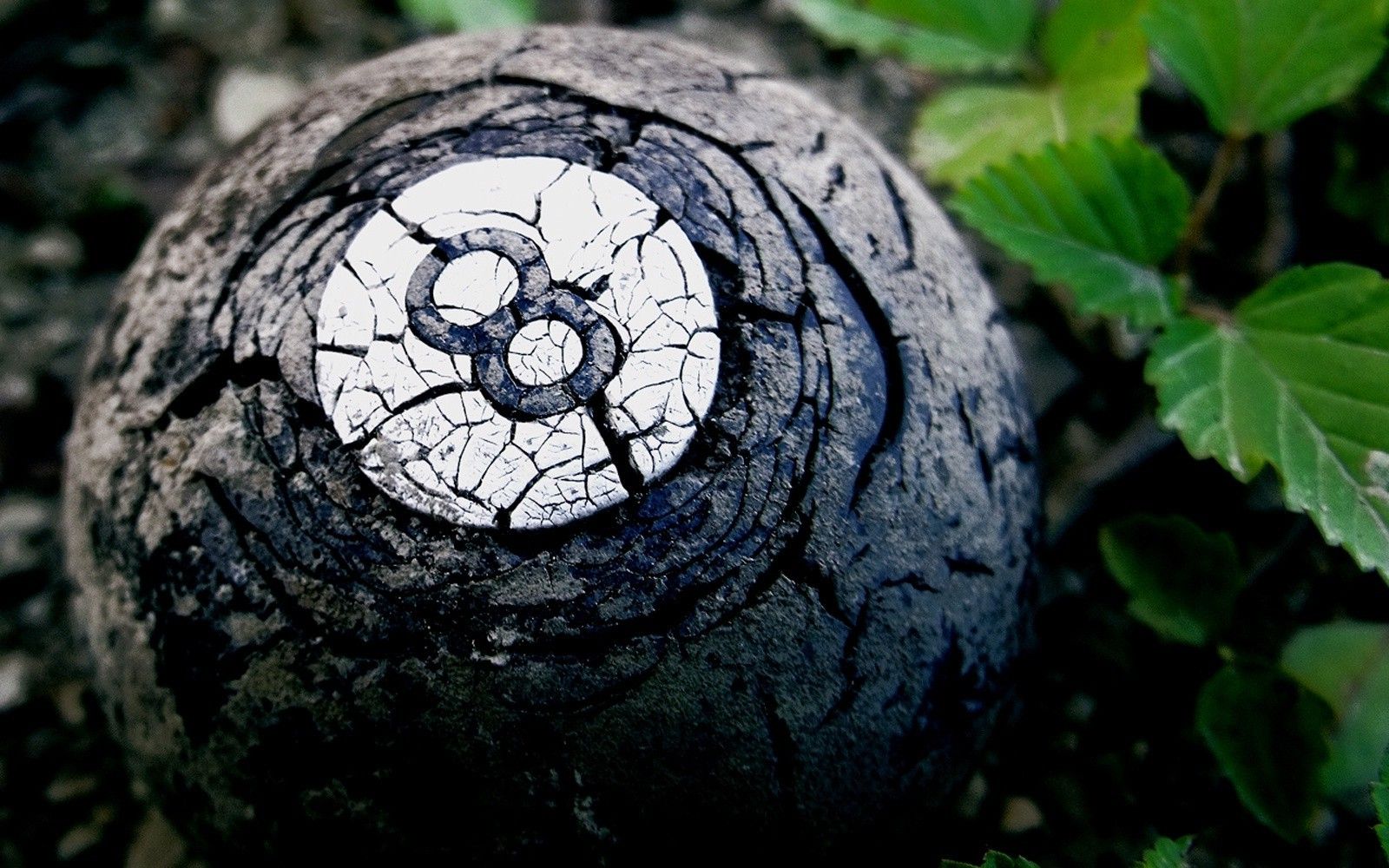 Wallpaper, 1600x1000 px, billiard balls, black, green, nature 1600x1000