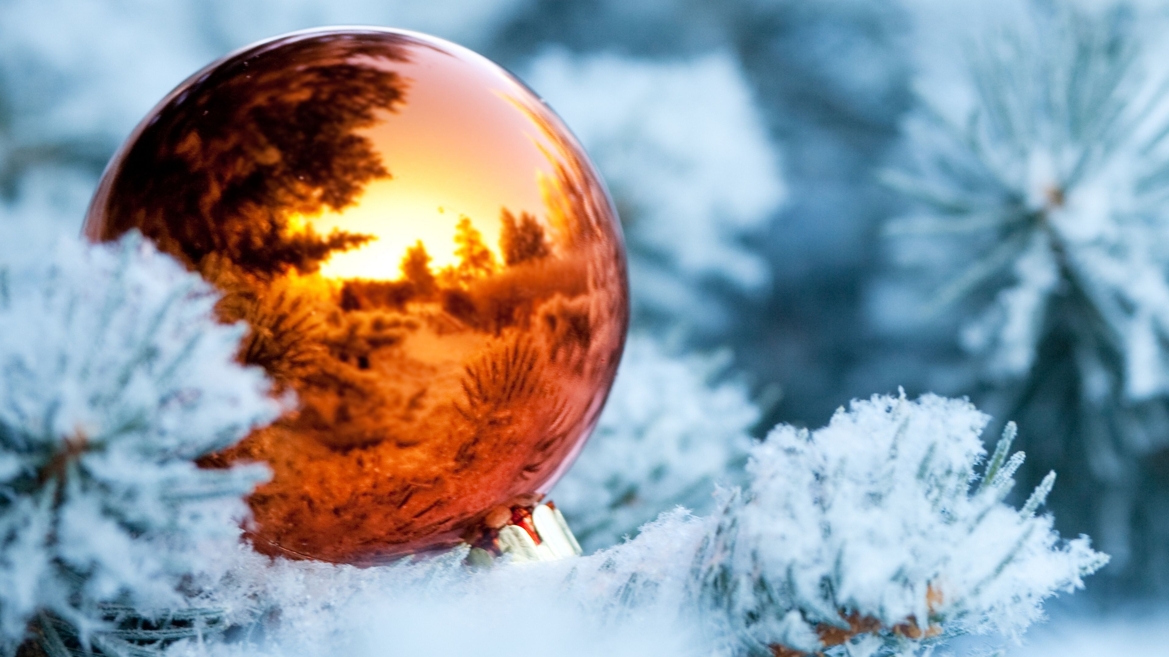 Wonderful Christmas ball on an ice tree in mirror