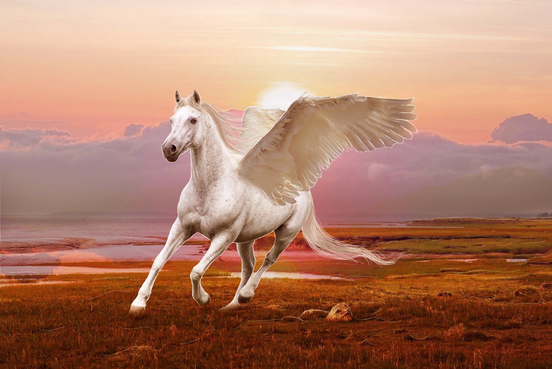 Winged Horse Pegasus 3D Art Wallpaper Horse Wallpaper HD HD Wallpaper