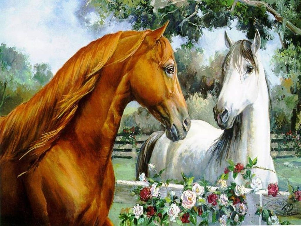 More Horse Wallpaper Horses 15705283 1024 768. Horse Wallpaper, White Horse Painting, Horse Painting