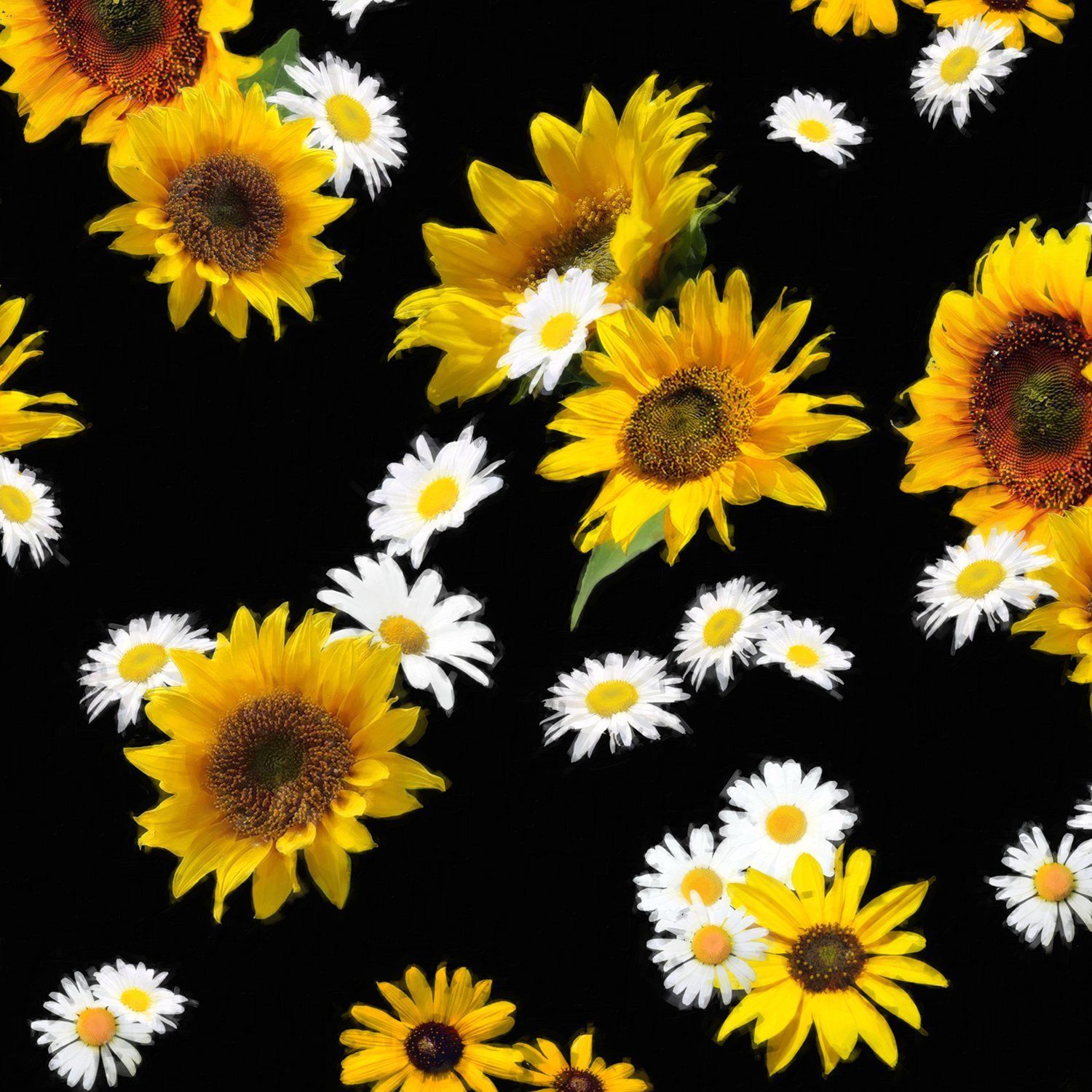 Sunflowers And Daisies Fitted Tank Top Regular Length. Sunflowers And Daisies, Sunflower, Sunflower Wallpaper