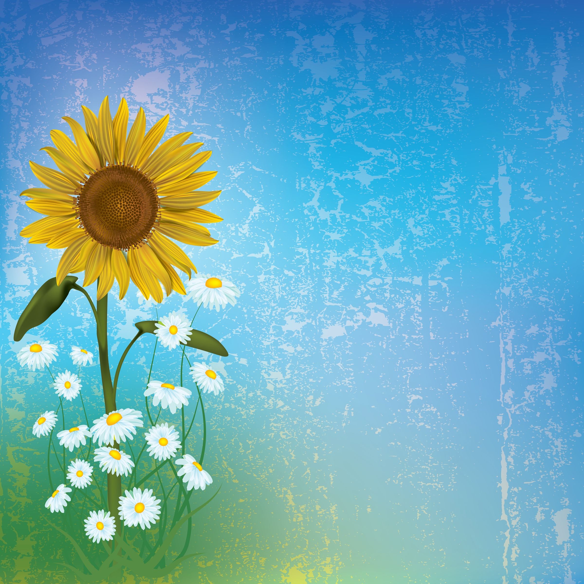 Sunflowers and Daisies Wallpaper