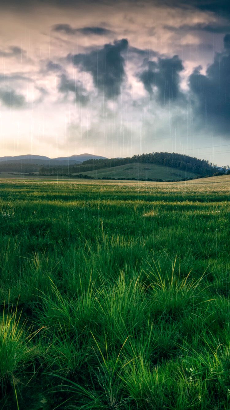 Spring iPhone Wallpaper