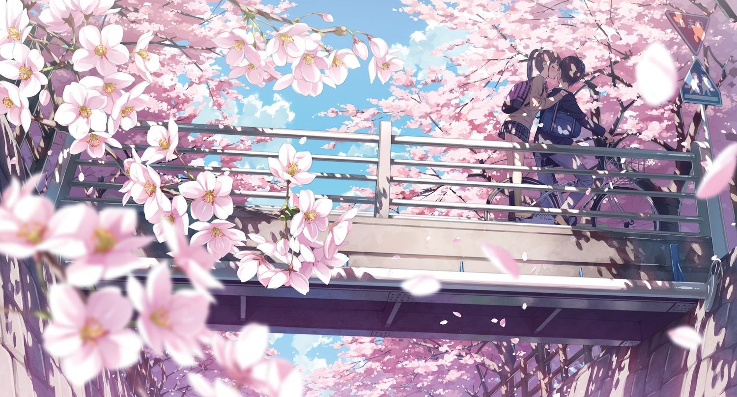 Anime Wallpaper 4436x2389 5 nenme no houkago, bicycle, brown hair, cherry blossoms, clouds. Cherry blossom wallpaper, Anime cherry blossom, Cherry blossom drawing