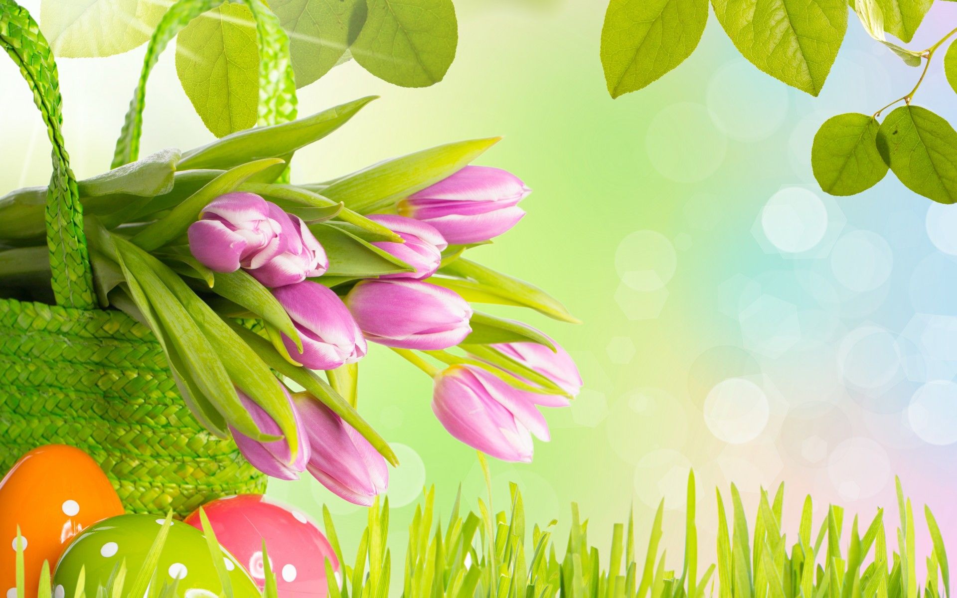 flowers, Tulips, Grass, Leaves, Spring, Eggs, Easter Wallpaper HD / Desktop and Mobile Background