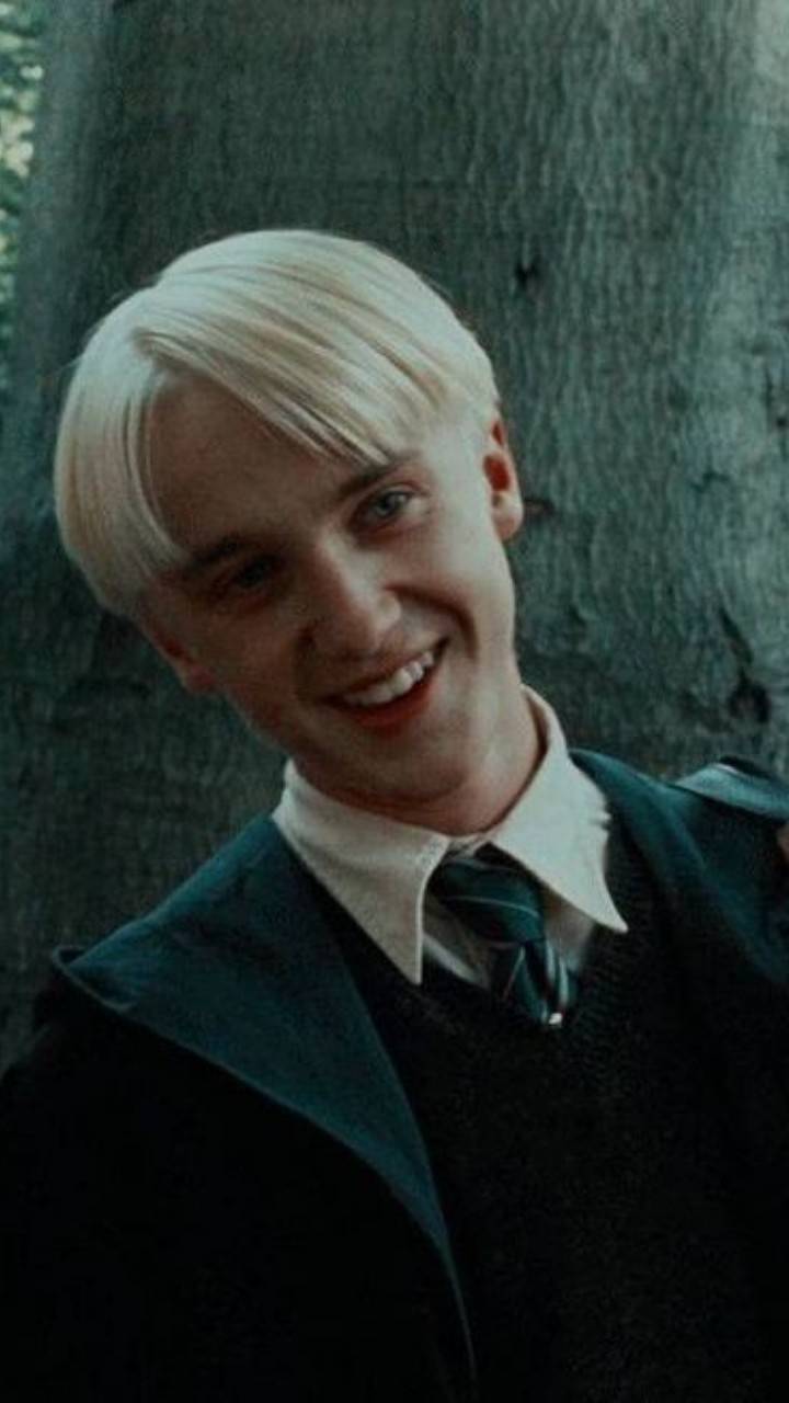 Harry Potter And Draco Malfoy Wallpapers
