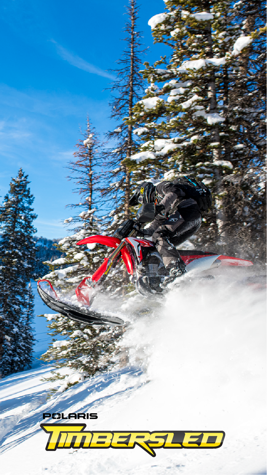 Team Timbersled. Snow Bike Riders