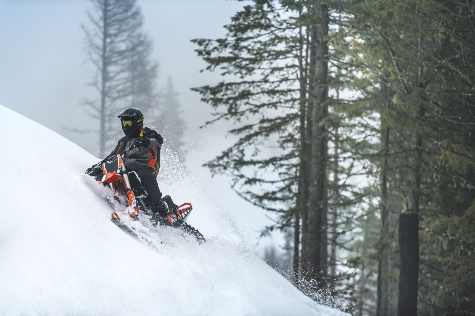 Timbersled Lineup Features Race Proven SX, Premium, Limited Edition Models