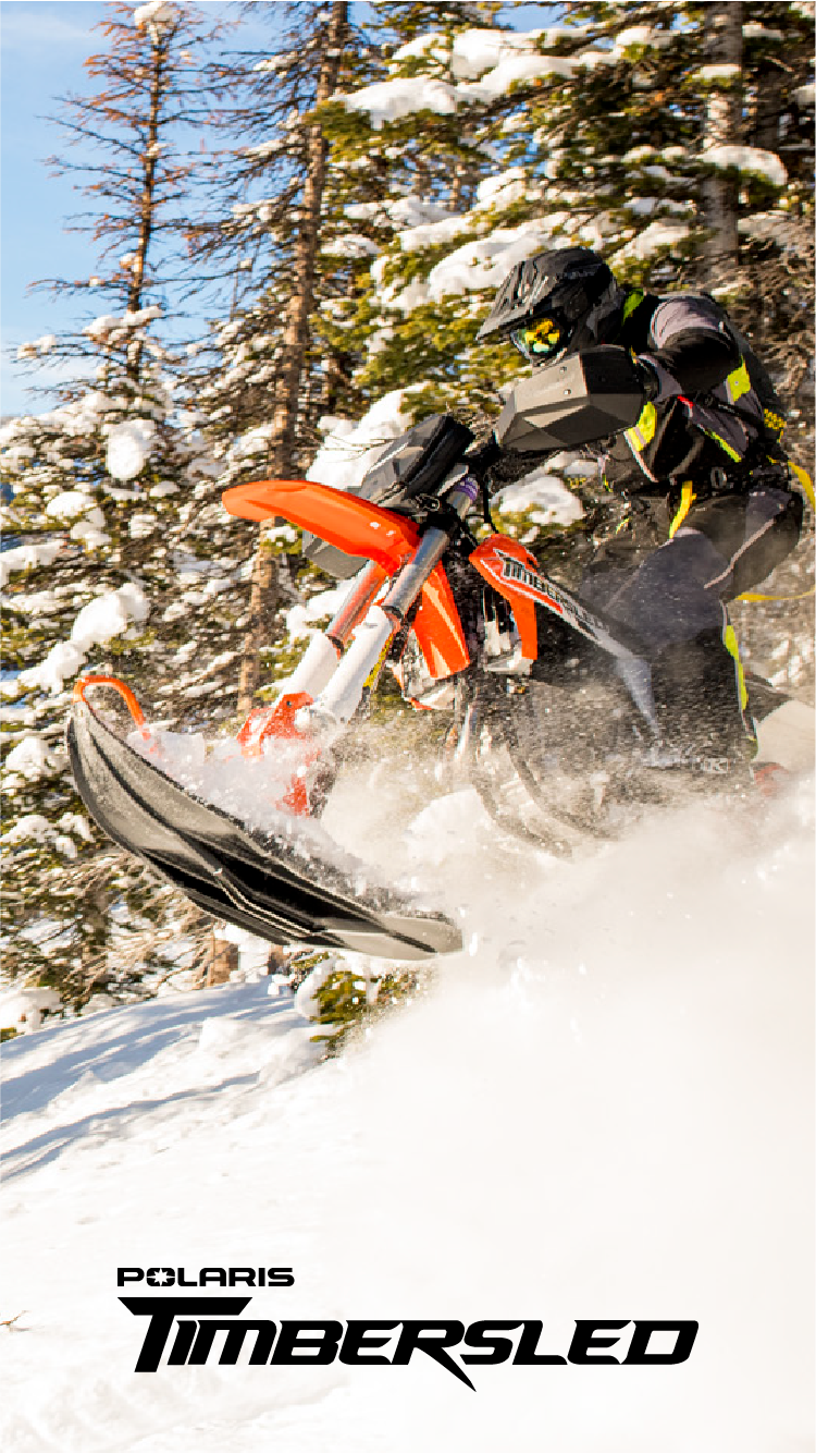 Team Timbersled. Snow Bike Riders