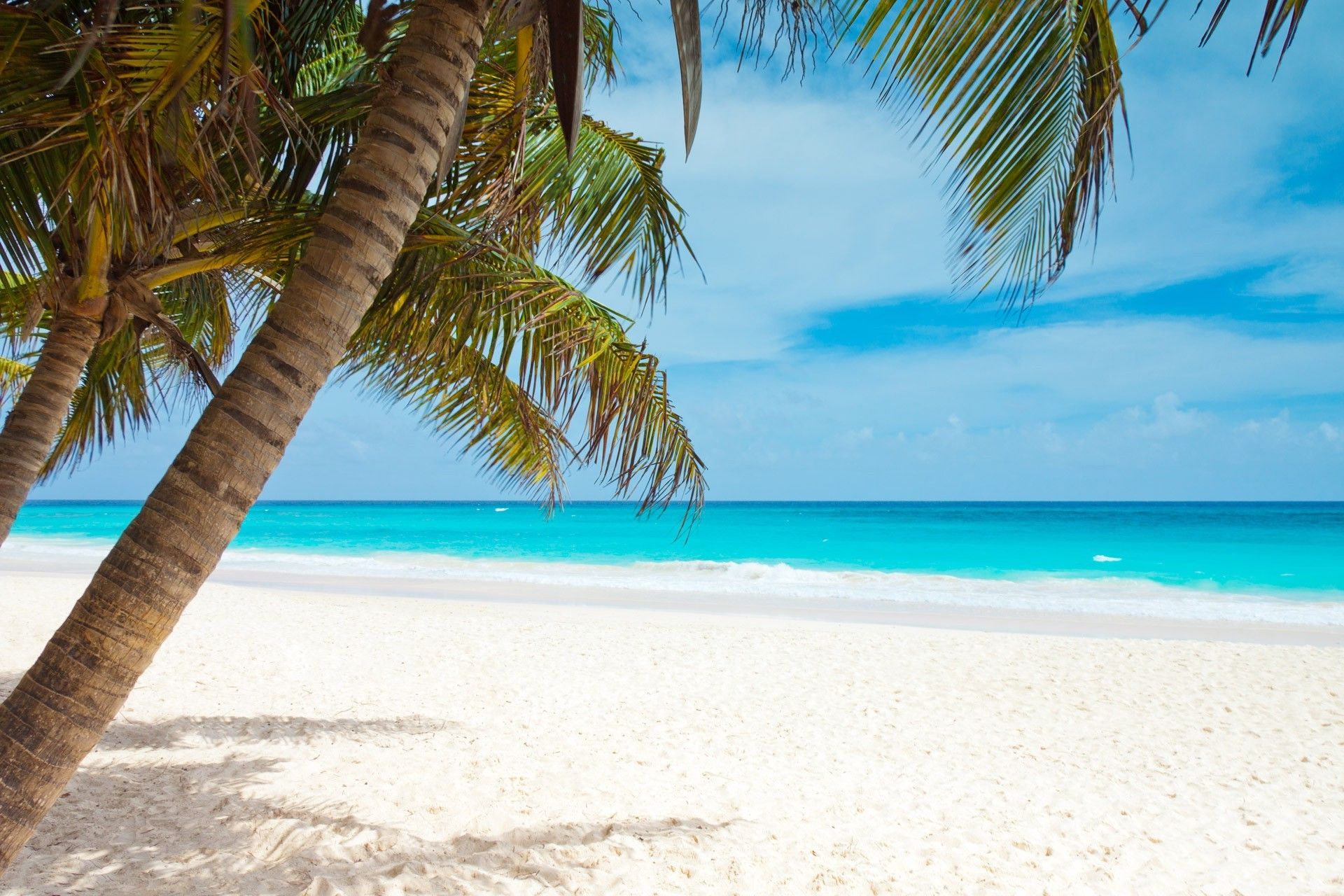 beach, Blue, Coast, Palm Trees, Landscape, Caribbean, Sea, Sky, Watering Wallpaper HD / Desktop and Mobile Background