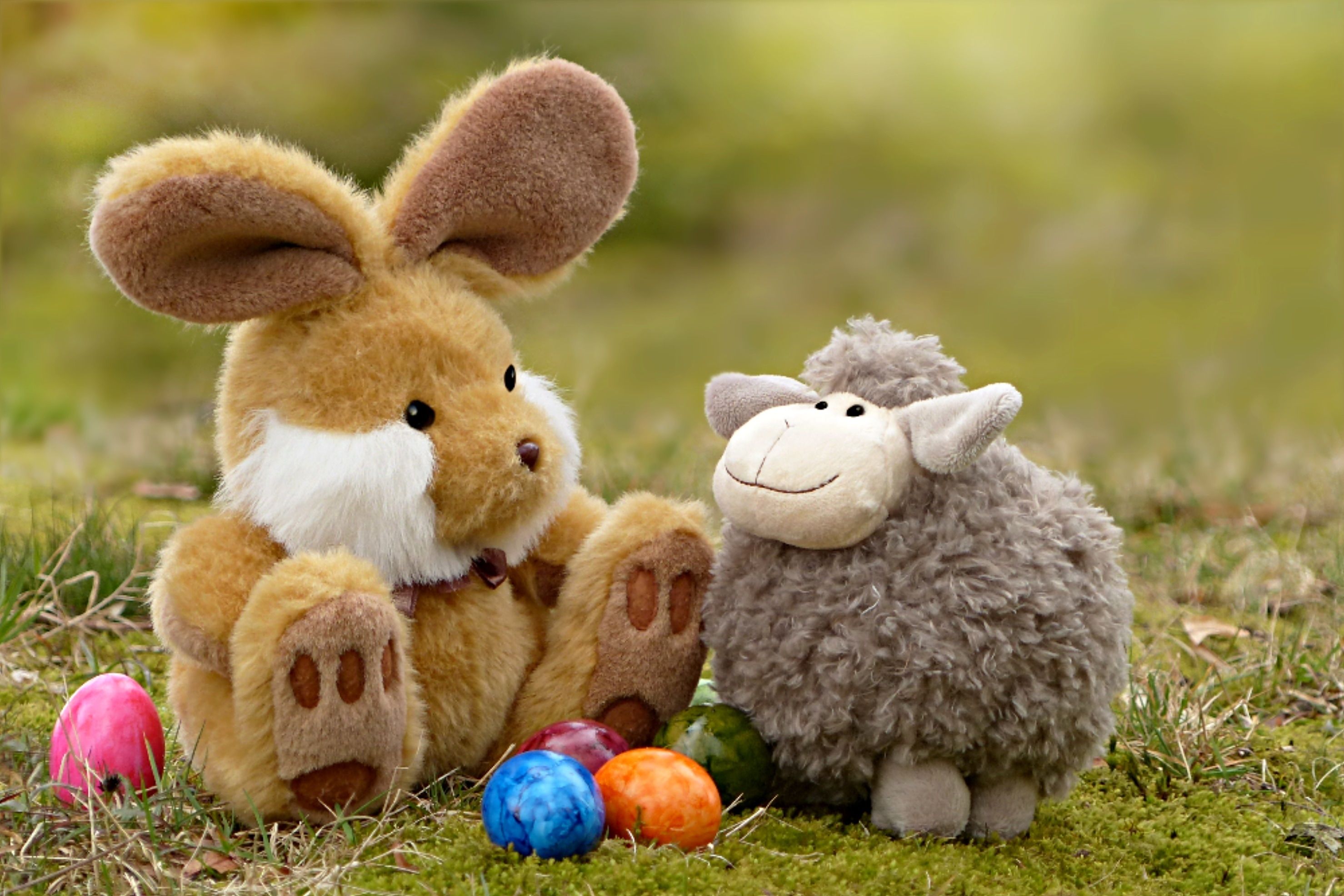 rabbit and sheep plush toy free image