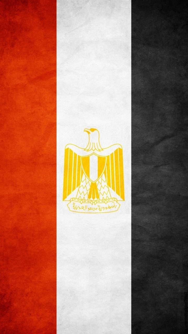 Egypt Flag wallpaper