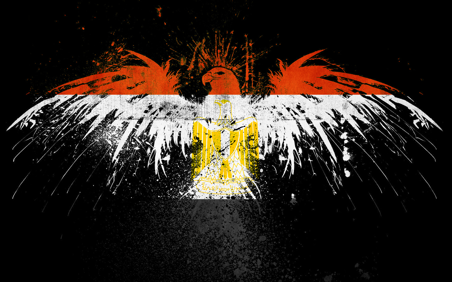 Egypt Flag Background