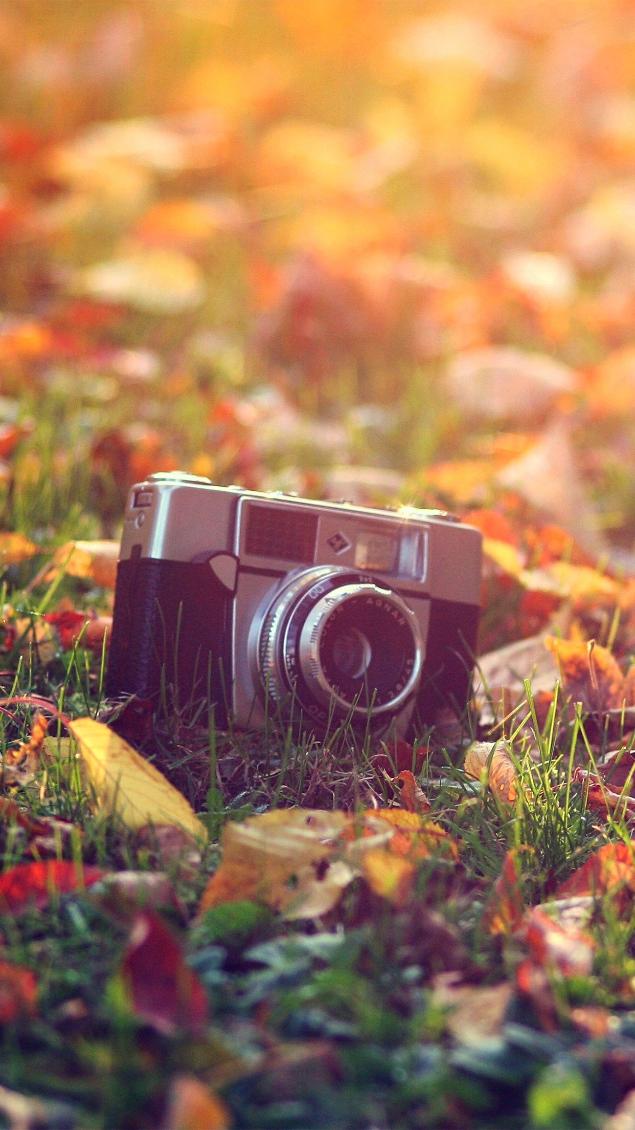 Vintage Camera Wallpaper for iPhone Pro Max, X, 6