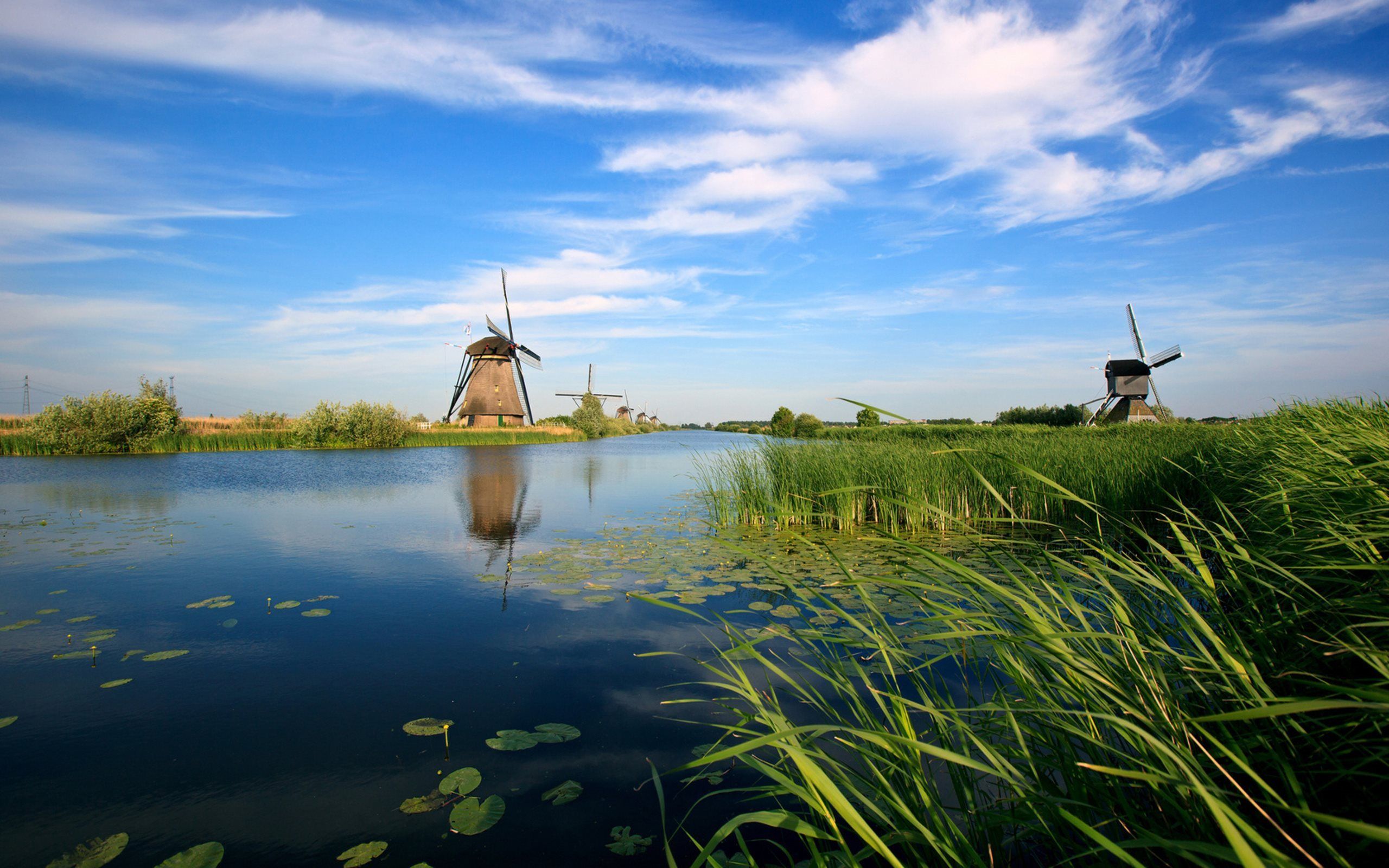 Download wallpaper the netherlands, the nature of holland, mill, reed, the lake, mlini for desktop with resolution 2560x1600. High Quality HD picture wallpaper