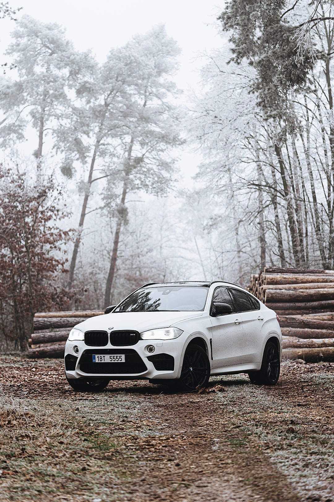 Download Bmw X6m In Frozen Forest Free X6m Wallpaper iPhone