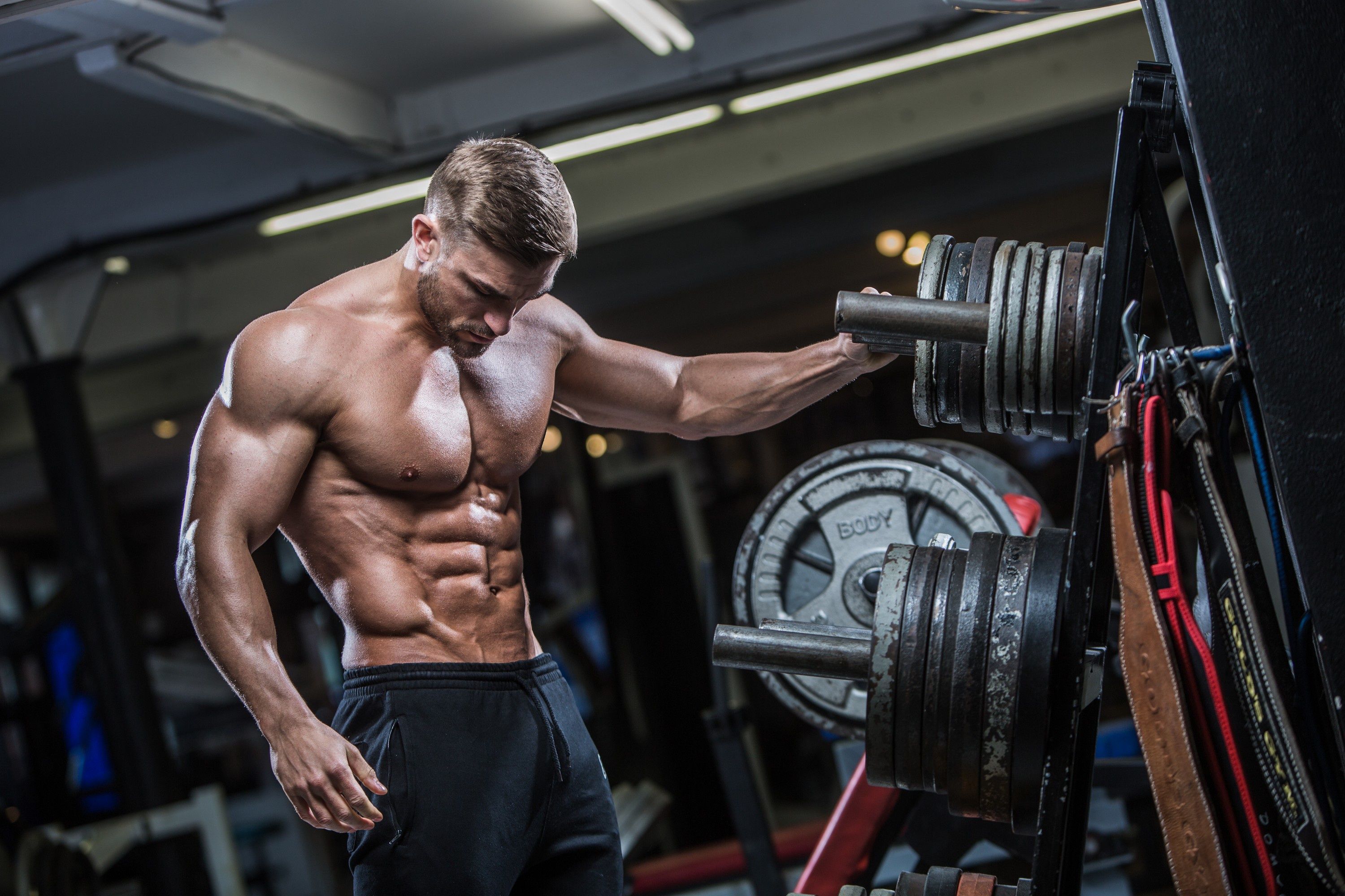 Handsome Man In Gym Wallpaper For Mobile HD Wallpaper