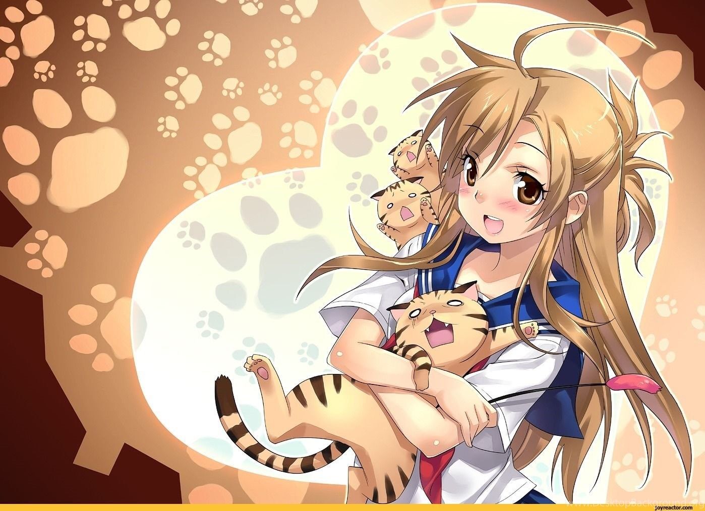 Cute Anime Cat People Wallpaper 2014 Desktop Background
