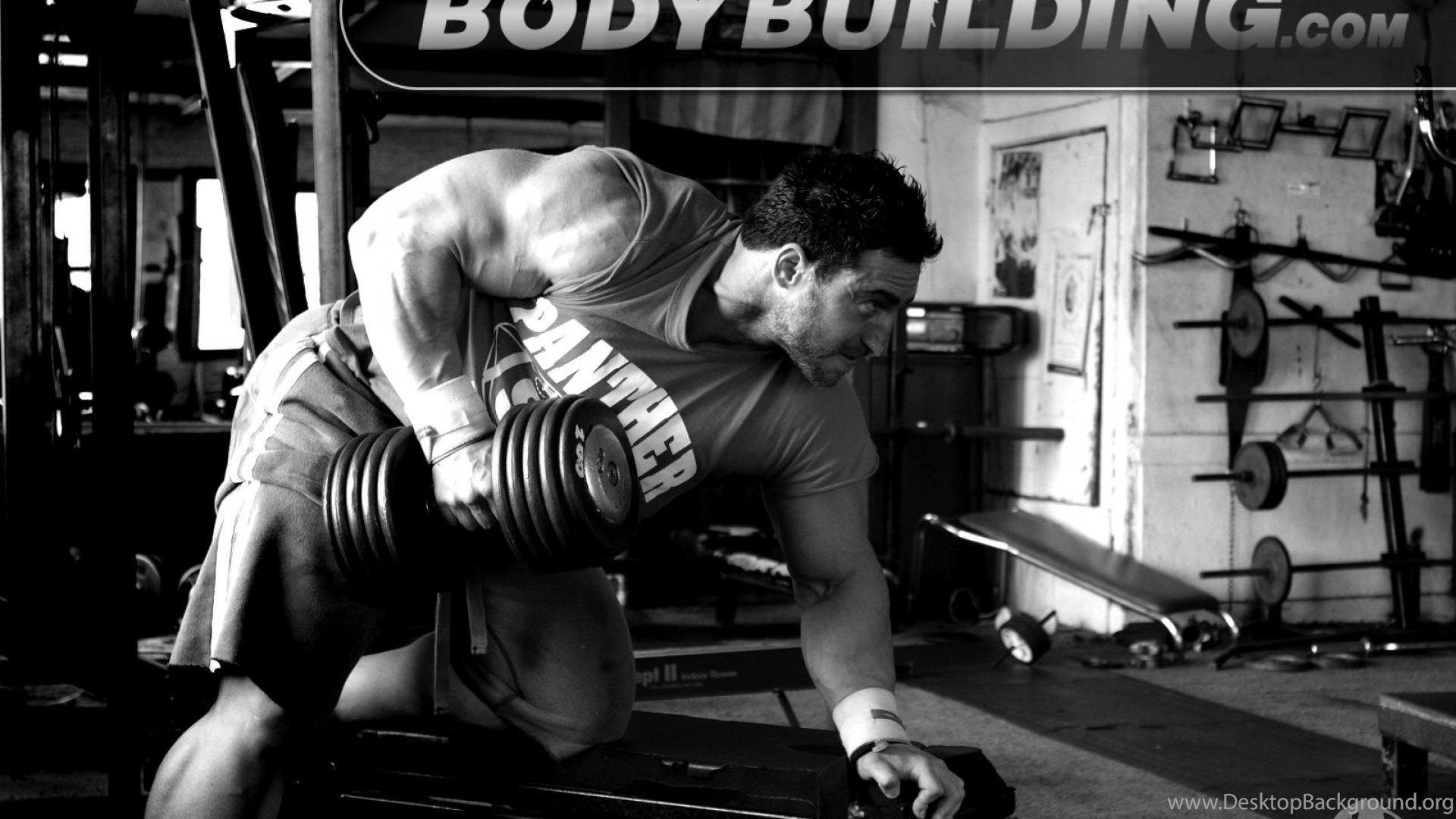 Gym Body Building Sport Man Muscle HD Wallpaper Wallpaper. Desktop Background