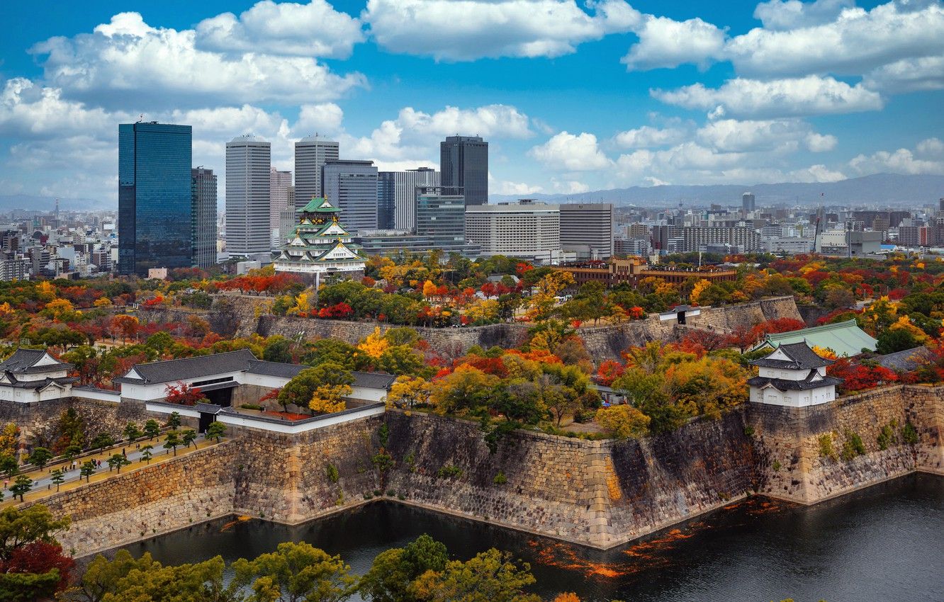 Wallpaper trees, Park, castle, building, Japan, Japan, skyscrapers, Osaka, Osaka, ditch, Osaka Castle, Osaka Castle Park image for desktop, section город