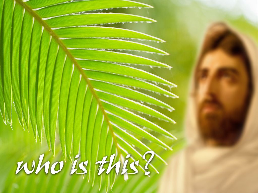 PowerPoint Background for Sunday 13 April 2014 (Palm Sunday)