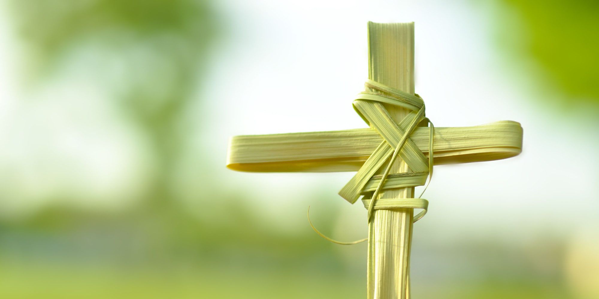 Palm Sunday Hosanna King Jesus Cross Hd Wallpaper United Methodist Church